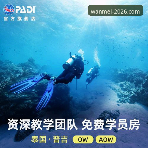 资深用户老周分享：完美体育APP好用吗评测 2026新版实战体验